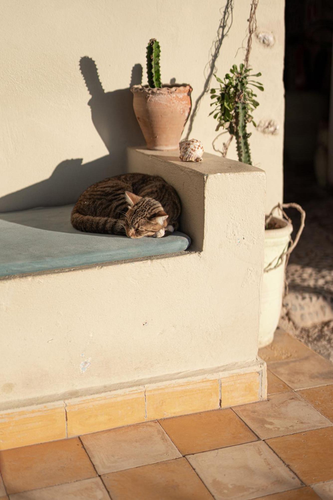 Dar Afoulky Maison D'Hotes Sidi Kaouki Exteriör bild